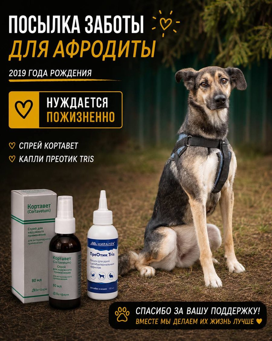 Посылка заботы для Афродиты