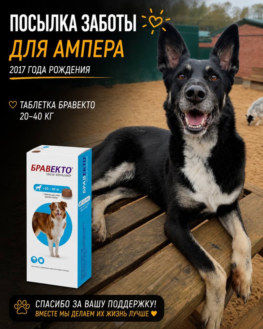 Посылка заботы для Ампера