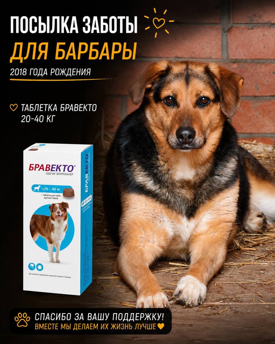 Посылка заботы для Барбары