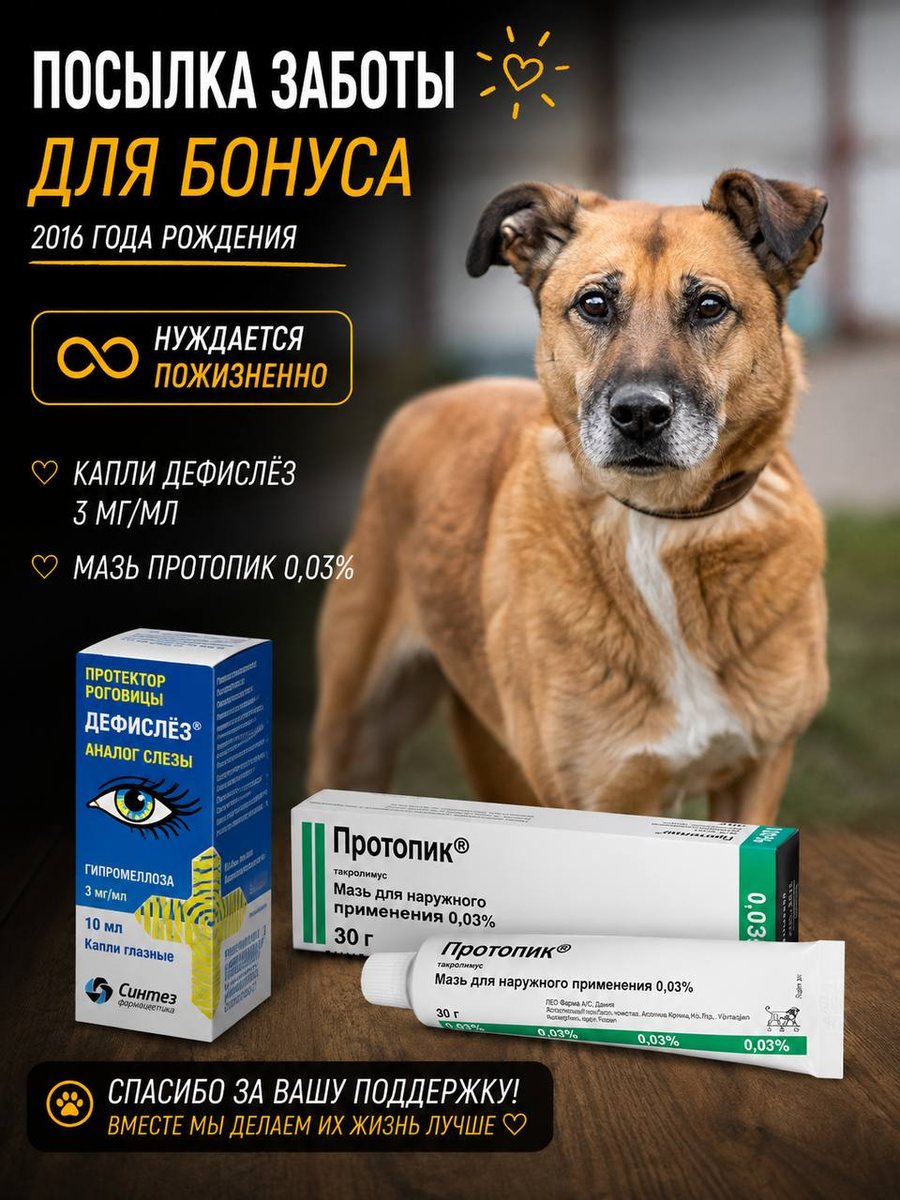 Посылка заботы для Бонуса