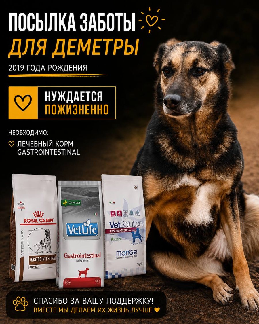 Посылка заботы для Деметры