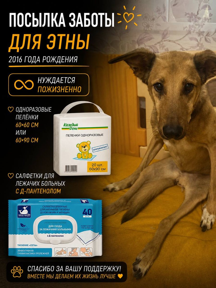 Посылка заботы для Этны