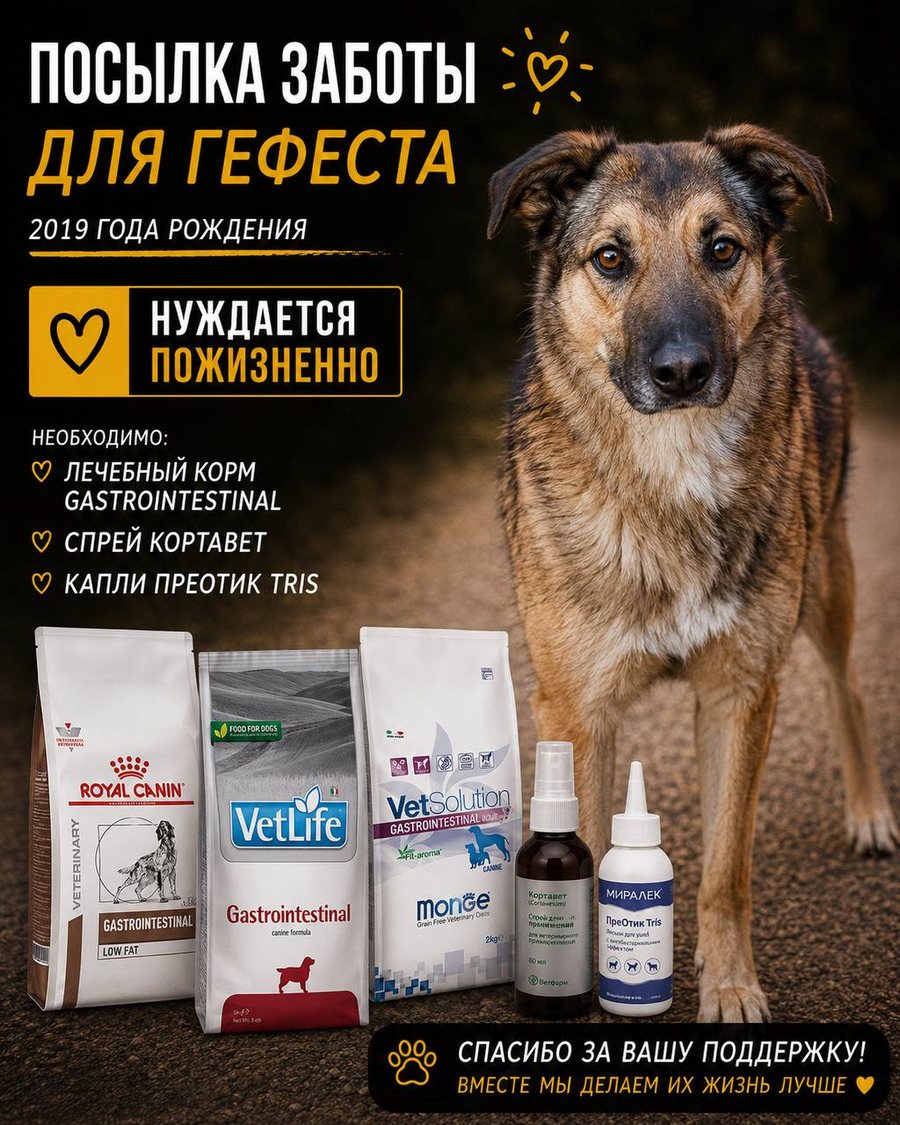 Посылка заботы для Гефеста