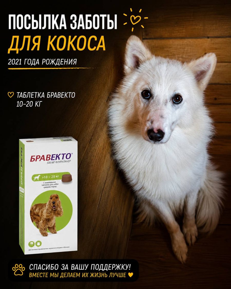 Посылка заботы для Кокоса