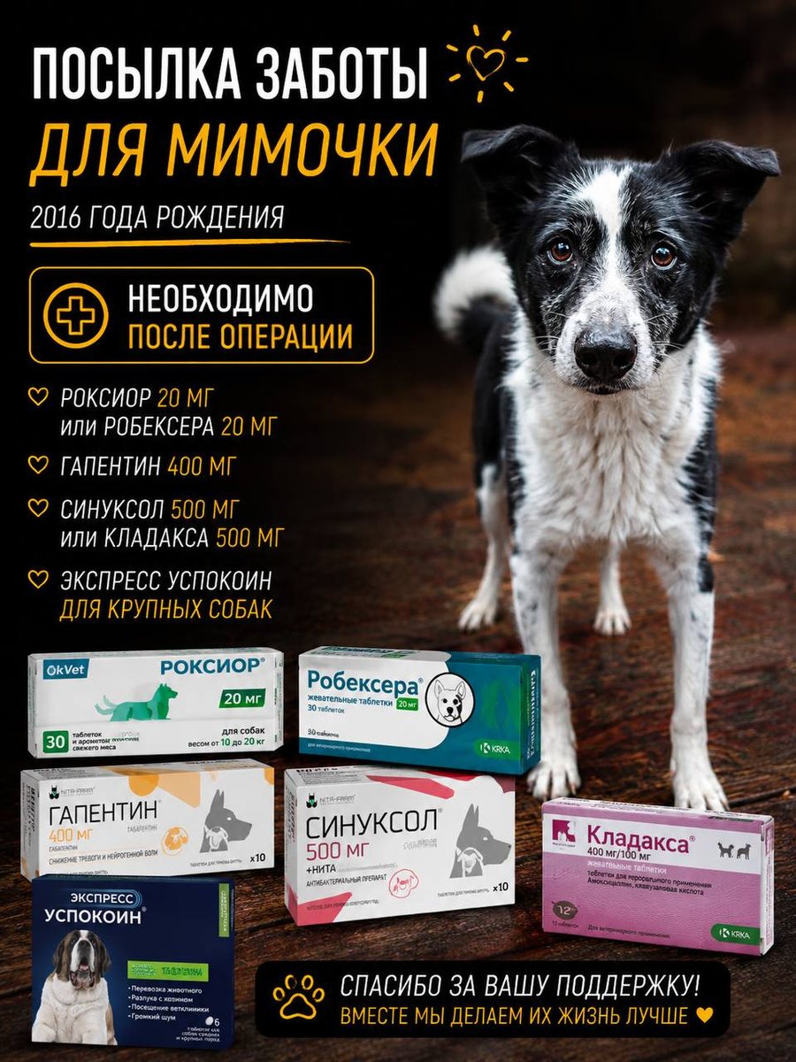 Посылка заботы для Мимочки